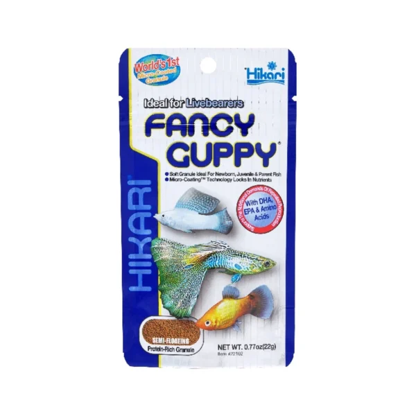 Hikari Fancy Guppy