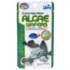 Hikari Algae Wafers