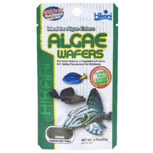 Hikari Algae Wafer