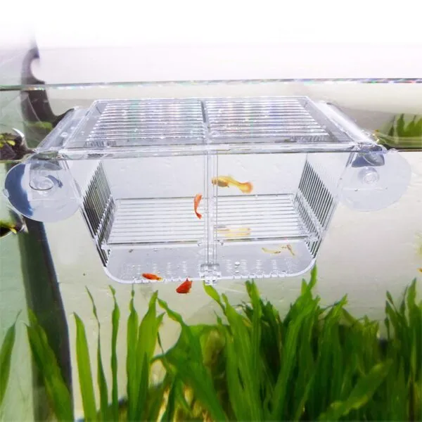 Breeding Box - Image 2