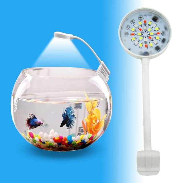 Fish Bowl Light