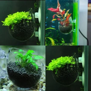 BSFH Acrylic Plant pot