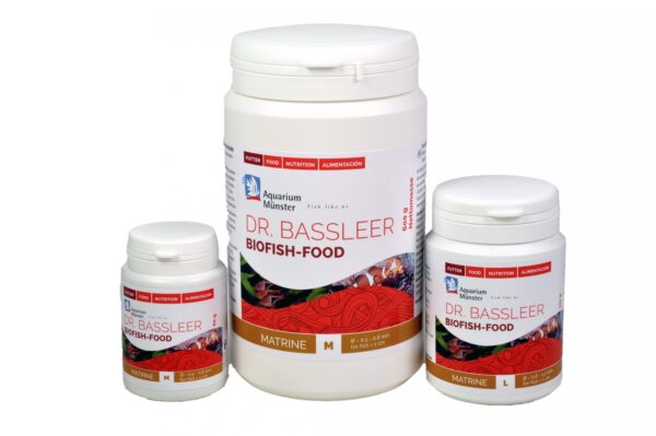 Dr Bassleer