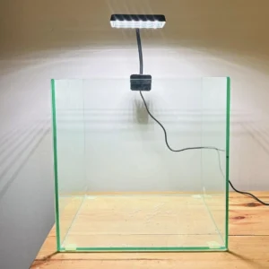 30cm cube tank