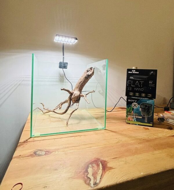 30cm Rimless Cube Tank (5mm) - Image 3