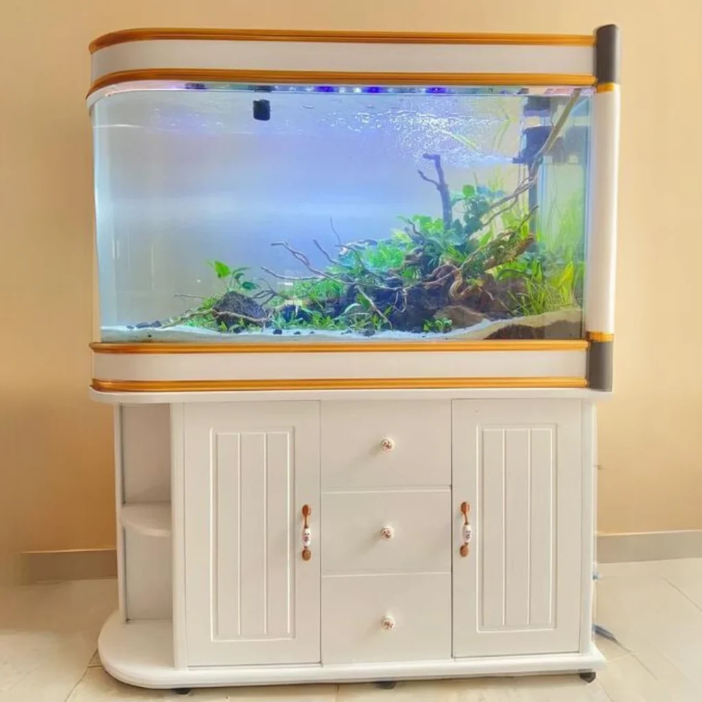 Tank design & Installation