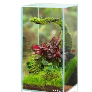 Neo Glass Air by DOOA