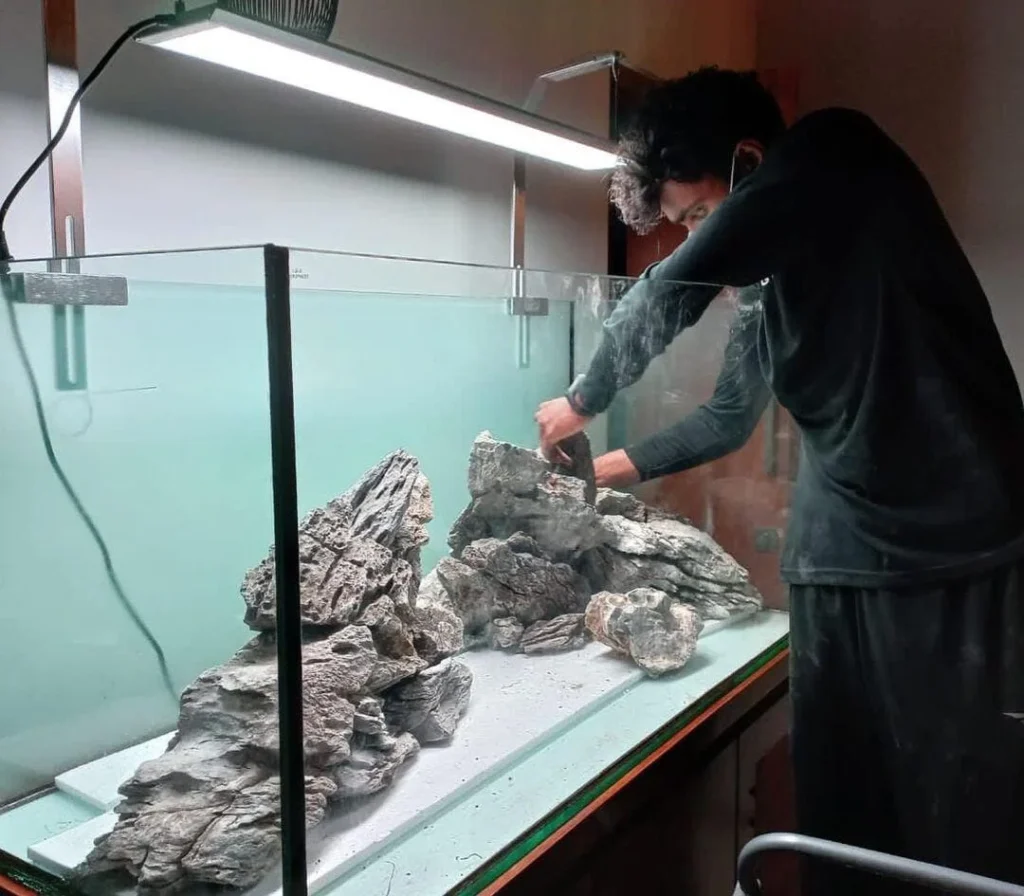 Aquarium consultation by V Aqua