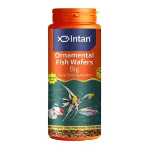 INTAN Ornamental Fish Wafers Slowly Sinking