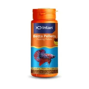 INTAN Betta Pellets
