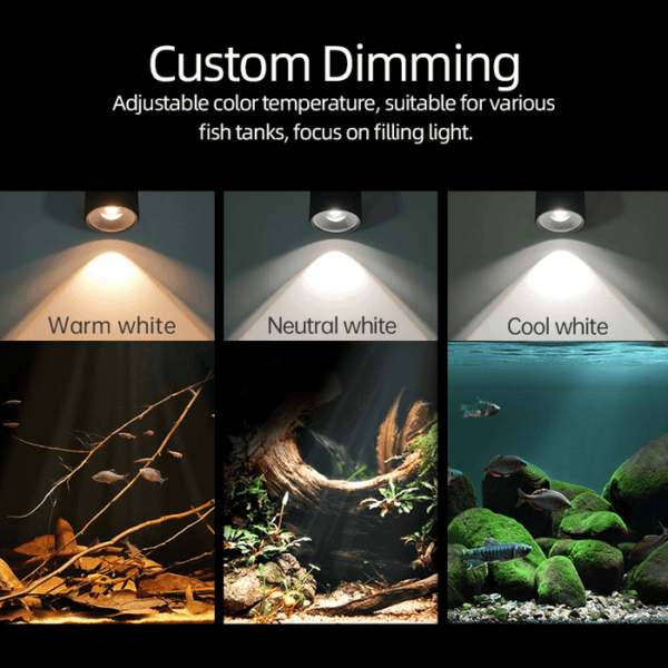 Week Aqua Mini 7 Pro Spotlight - Image 2