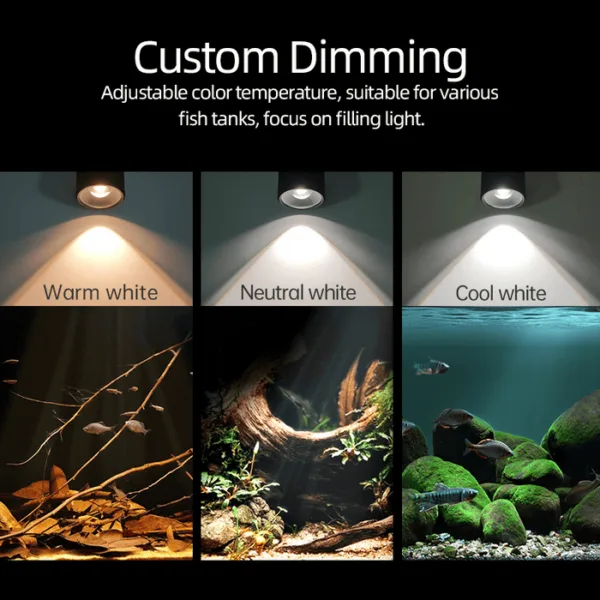 Week Aqua Mini 7 Pro Spotlight - Image 2
