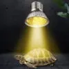 UVA/UVB Reptile Bulb