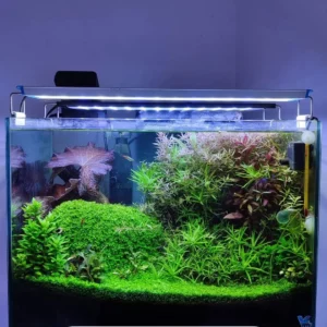 Tank design by v aqua