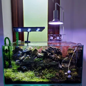 Tank design by v aqua