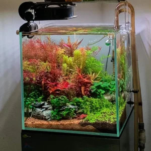 Tank design by v aqua