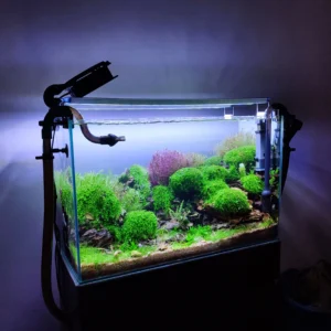 Tank design by v aqua