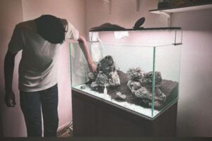 Tank design & installation by V aqua (1)