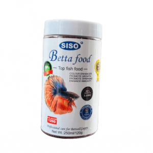 Siso betta food