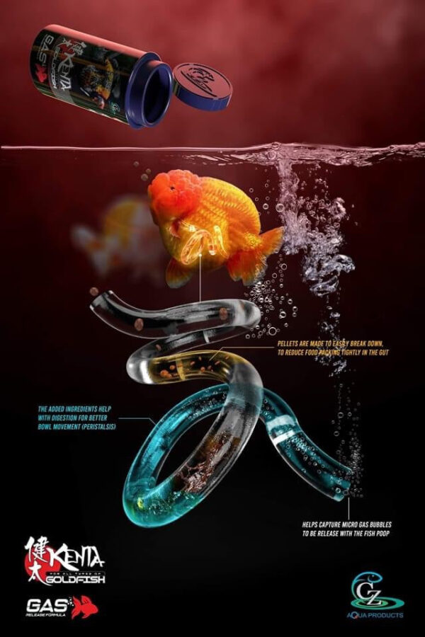 Kenta Goldfish Gas Release (150g) - Image 2