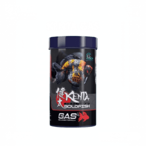 Kenta gold fish gas