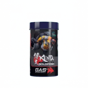 Kenta gold fish gas