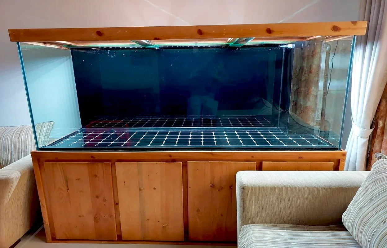 v aqua 6ft tank