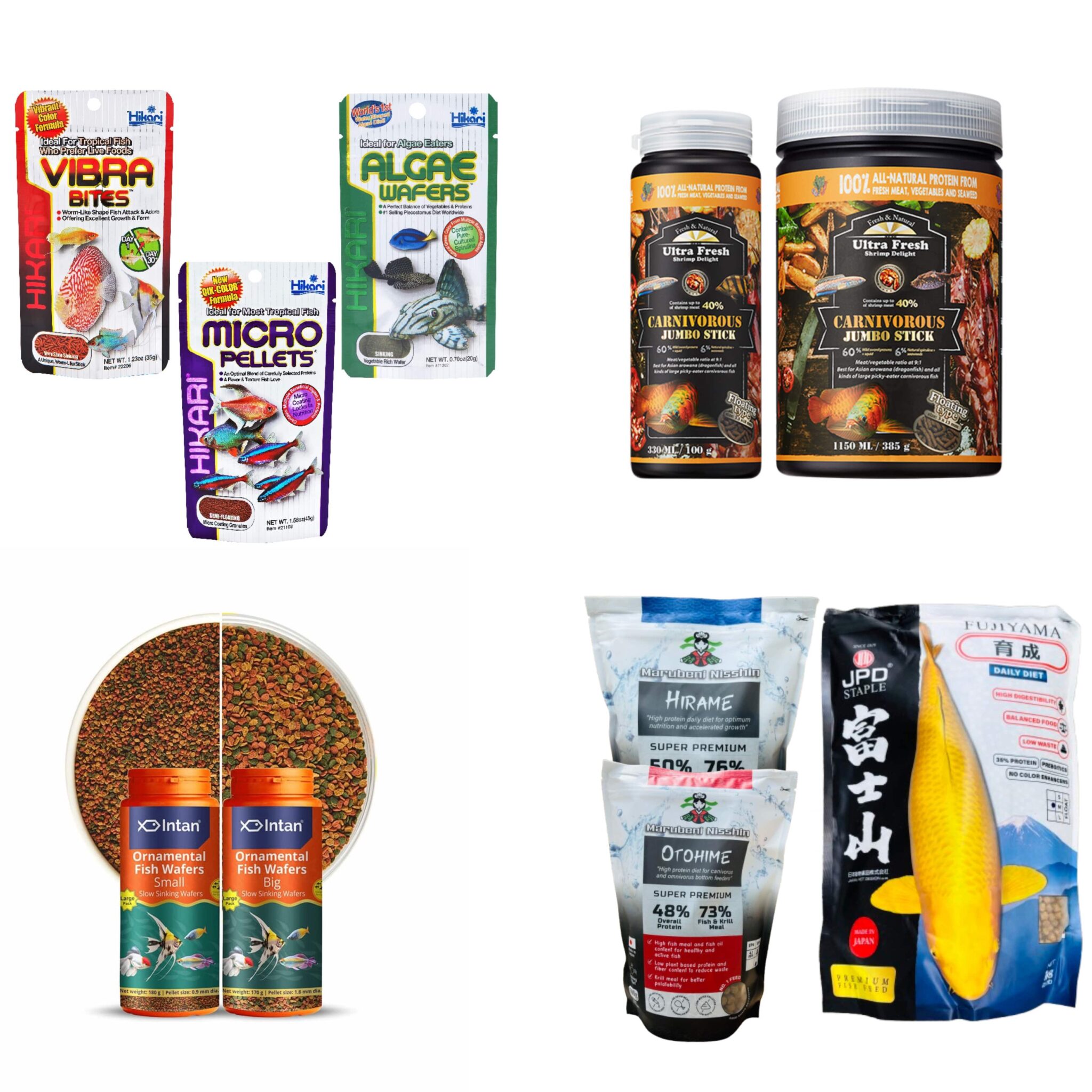 Discover the Best Aquariums & Aquascaping Supplies | V Aqua