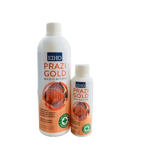 EIHO Prazi Gold
