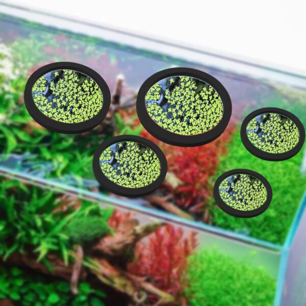 Aquarium Floating Plant & Feeding Rings