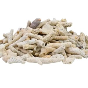 Imported Coral Sand 500g
