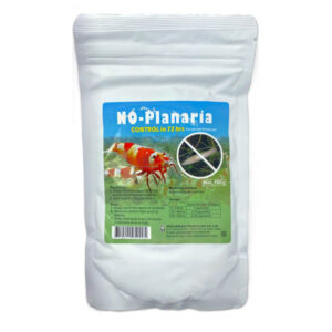 No Planaria
