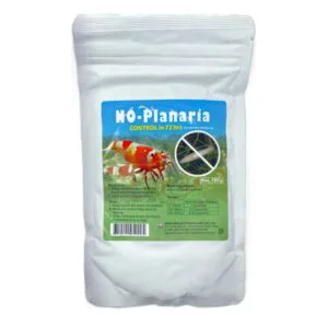 No Planaria