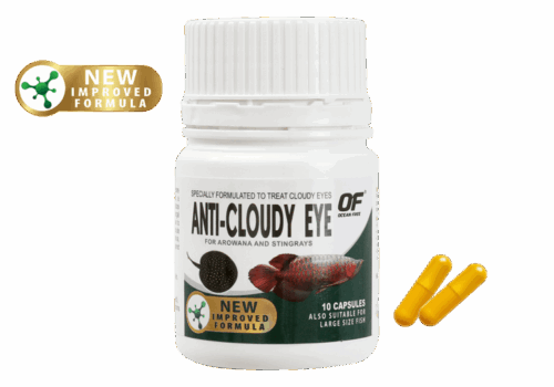 Ocean Free Anti-Cloudy Eye