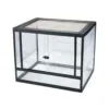 Terrarium