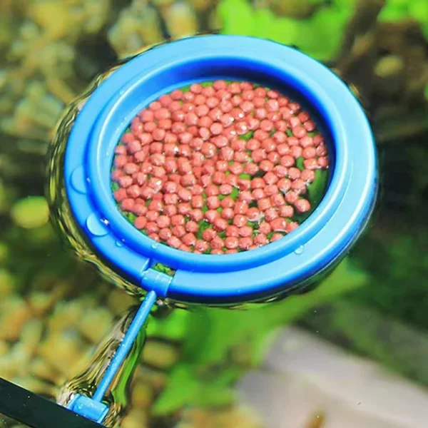 Floating Fish Feeding Ring (Round) - V Aqua