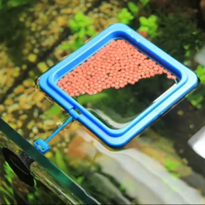 Floating Fish Feeding Ring