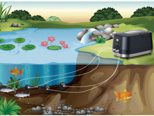 BOYU DAP-6000 AC/DC Air Pump - Image 3