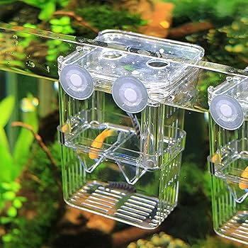 Multi-Functional Aquarium Isolation & Breeding Box
