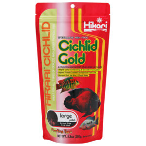 cichilid gold