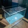 Acrylic aquarium isolation box