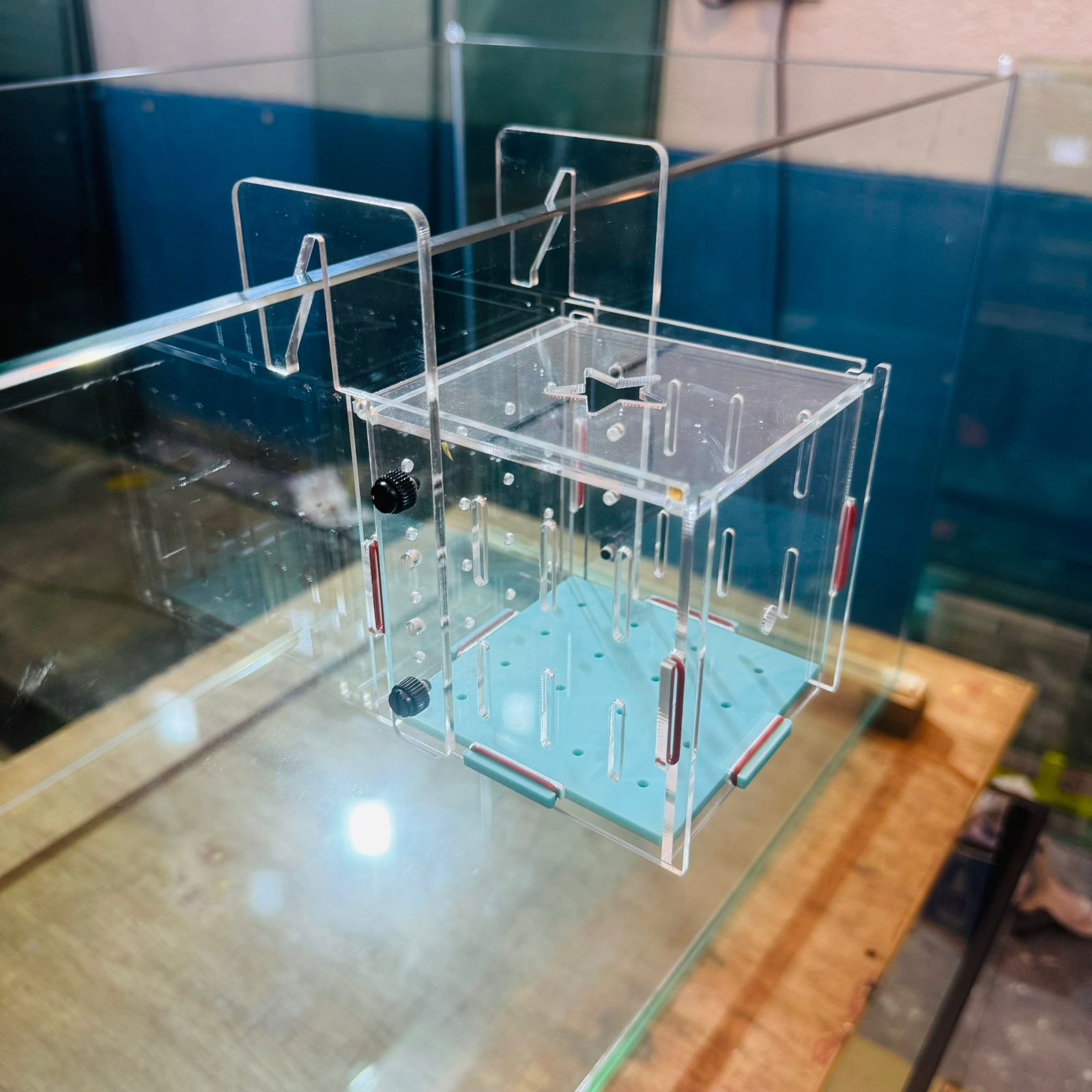 Acrylic aquarium isolation box