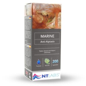 anti aiptasia